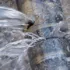 Через порив водогону призупинили водопотачання селища Нового