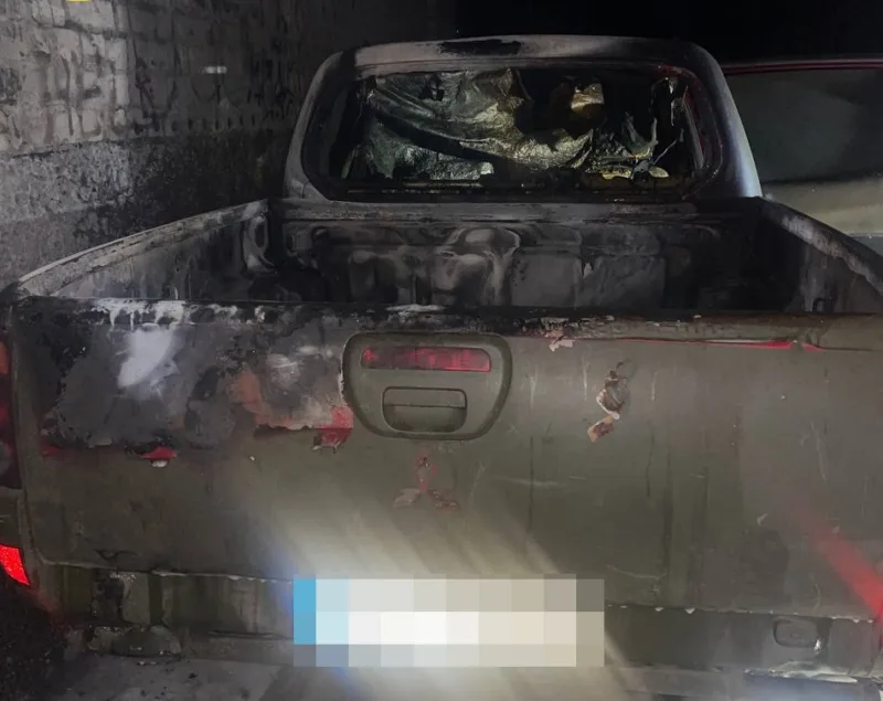 олександрії