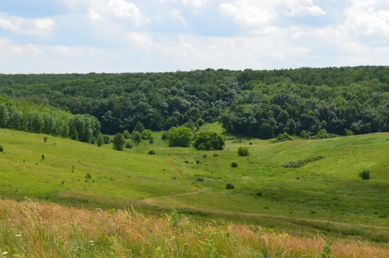 новгородківської