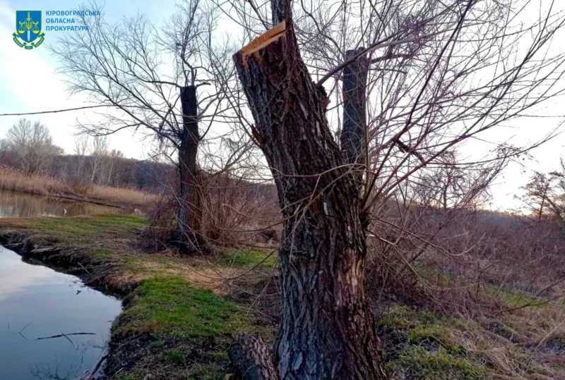 онуфріївській