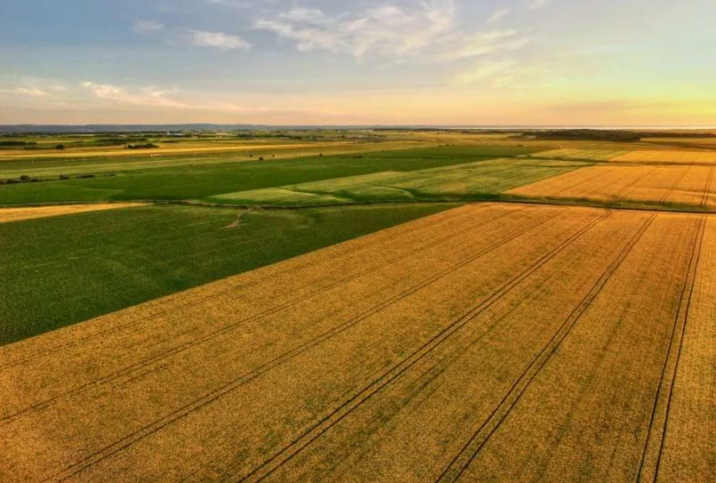 на кіровоградщині
