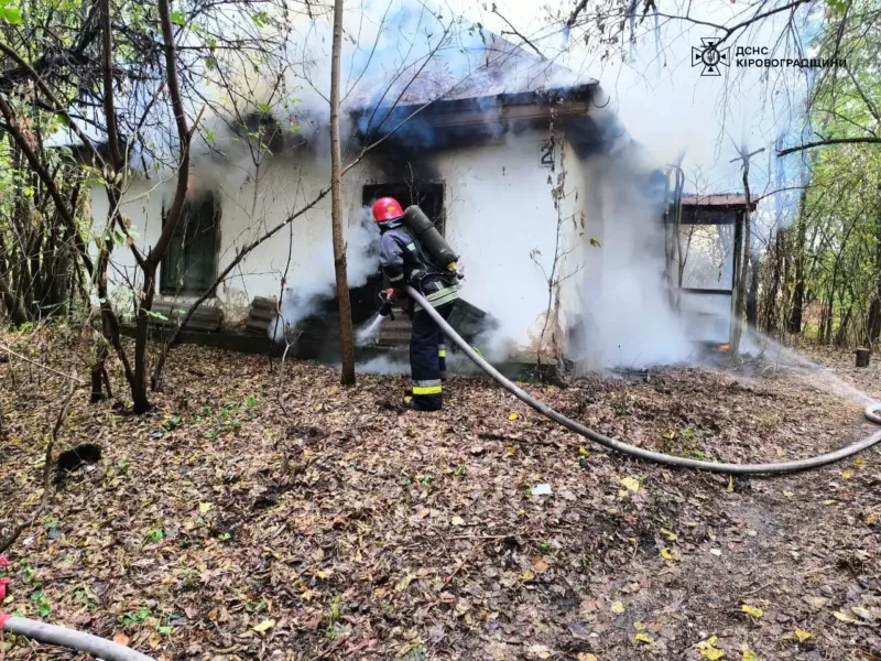 горів будинок