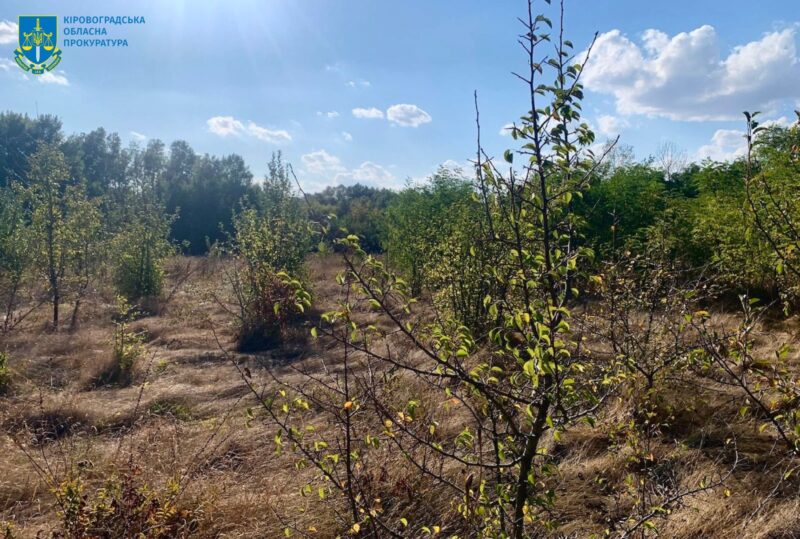 землевпоряднику кам'янецької