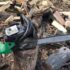 У Голованівській громаді посадили за ґрати двох чоловіків, які спиляли 9 акацій