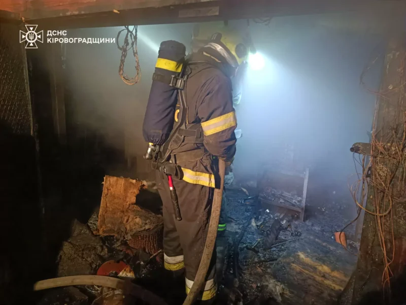 в олександрії пожежі