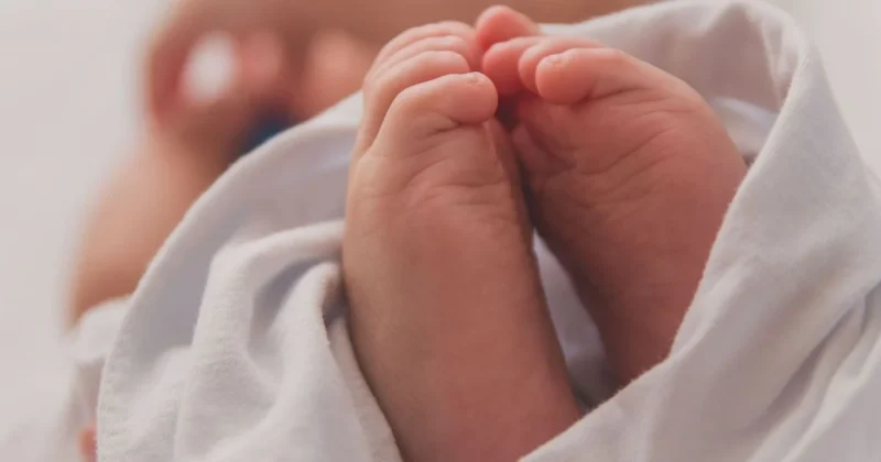 найпопулярніші імена на кіровоградщині