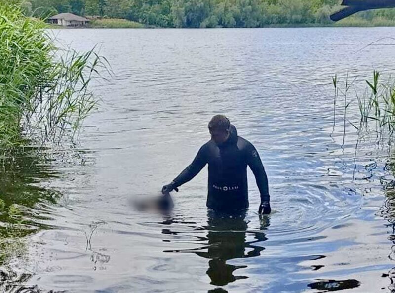 у Катеринівській громаді