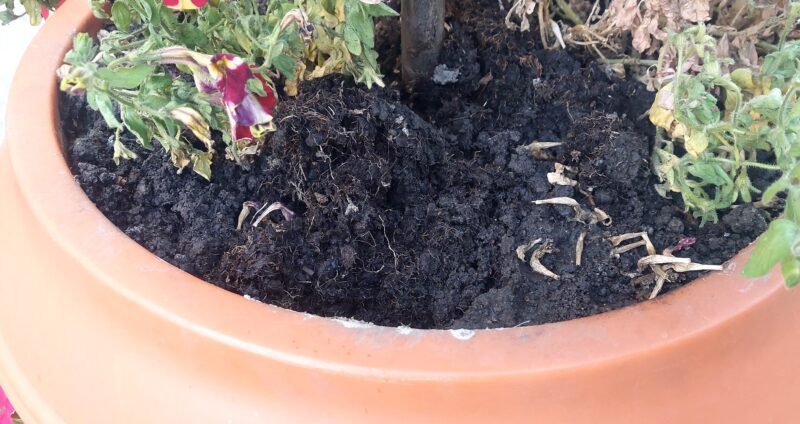 Не залишати "закладки" у вазонах