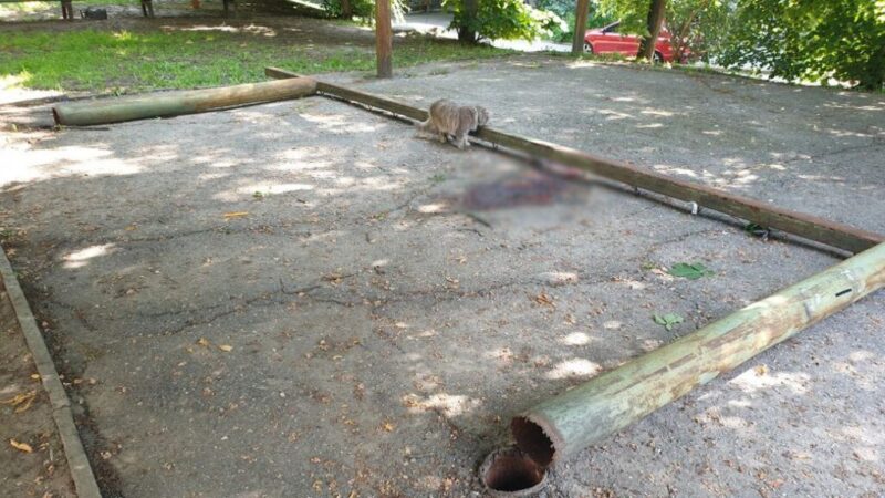 У Кропивницькому 154 металевих конструкцій визнали аварійними