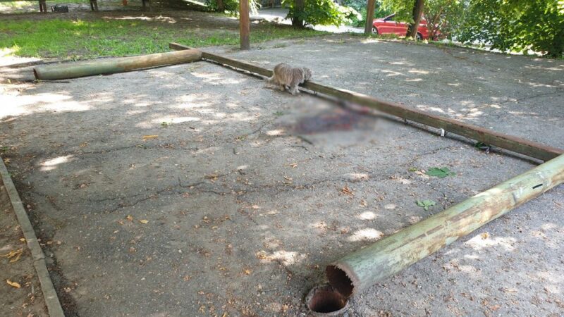 у Кропивницькому