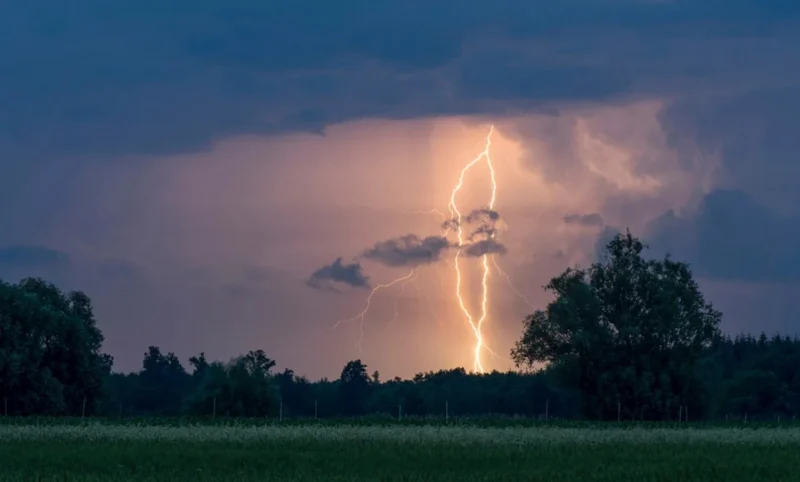 На Кіровоградщині