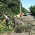 Пошкоджено дах та повалені стовпи: у Новоукраїнці ліквідовують наслідки негоди (ФОТО)