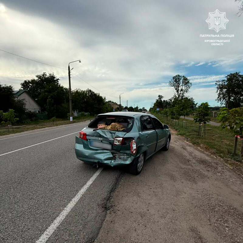 Великій Висці