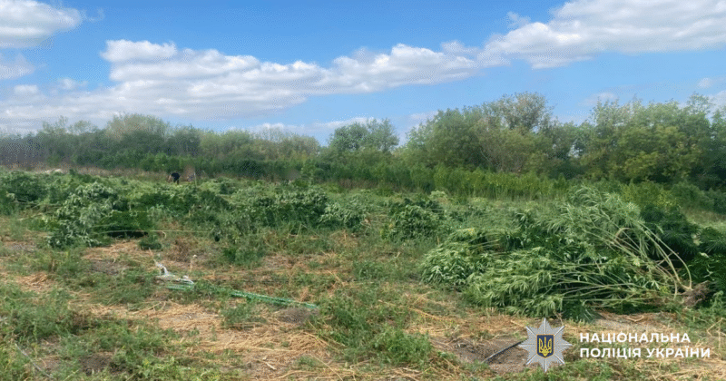 на Кіровоградщині