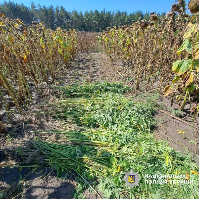 на Кіровоградщині