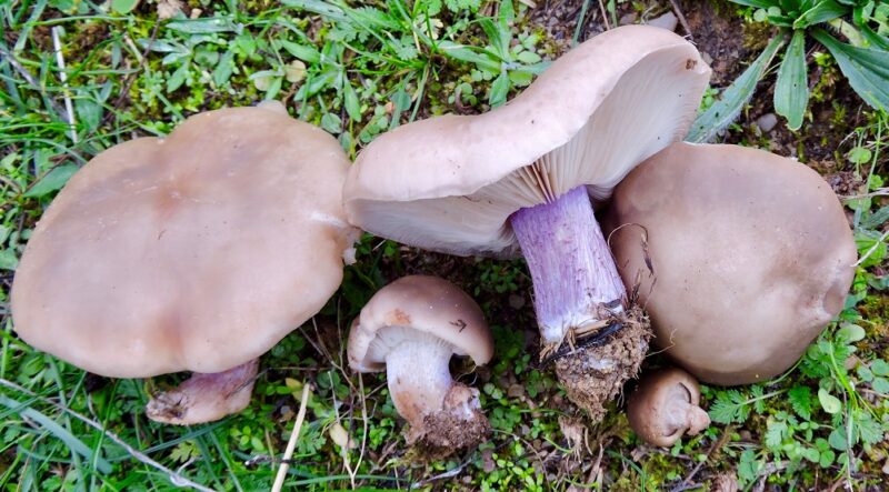 на Кіровоградщині