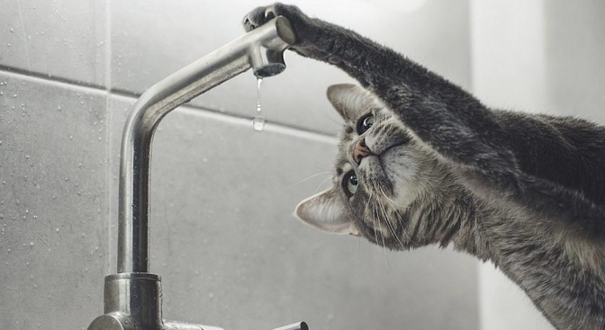 Кропивницькому