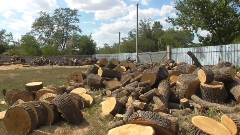 Кіровоградщини