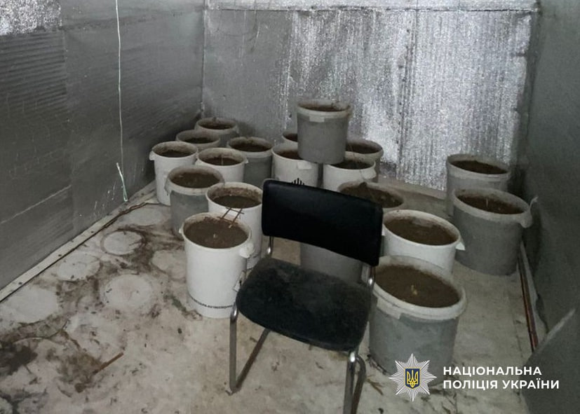 на Кіровоградщині