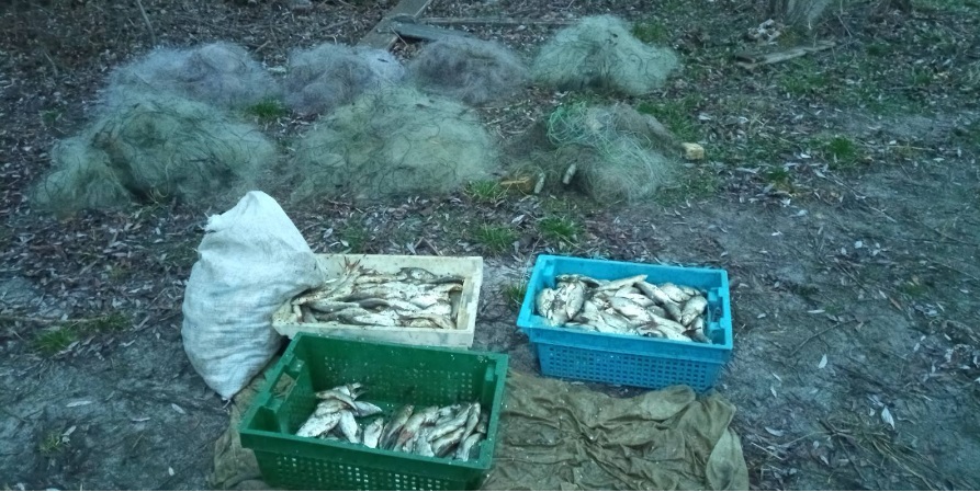 на Кіровоградщині