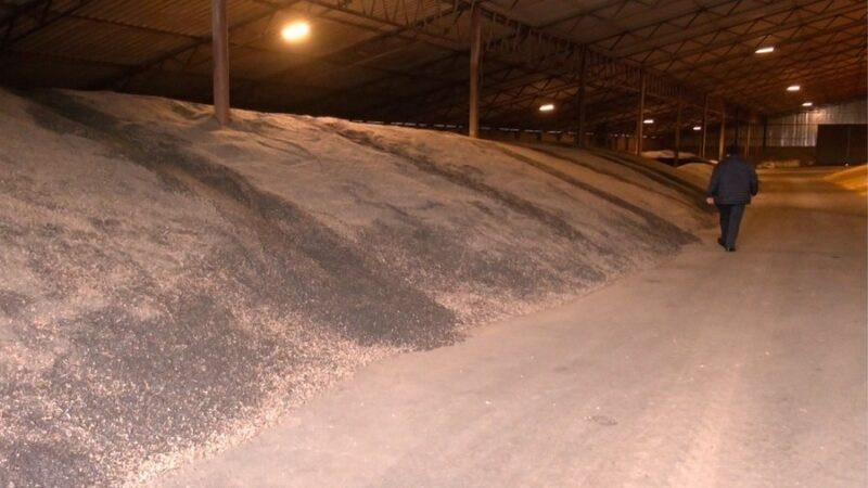 привласнення 77 тонн насіння