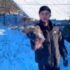 Підозрюваного у вбивстві собаки у Знам’янці взяли під варту