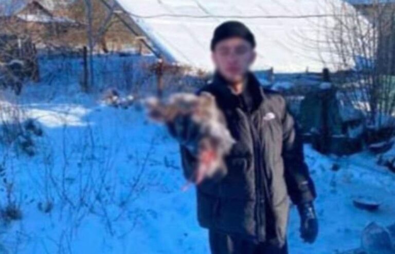 Підозрюваного у вбивстві собаки у Знам'янці взяли під варту