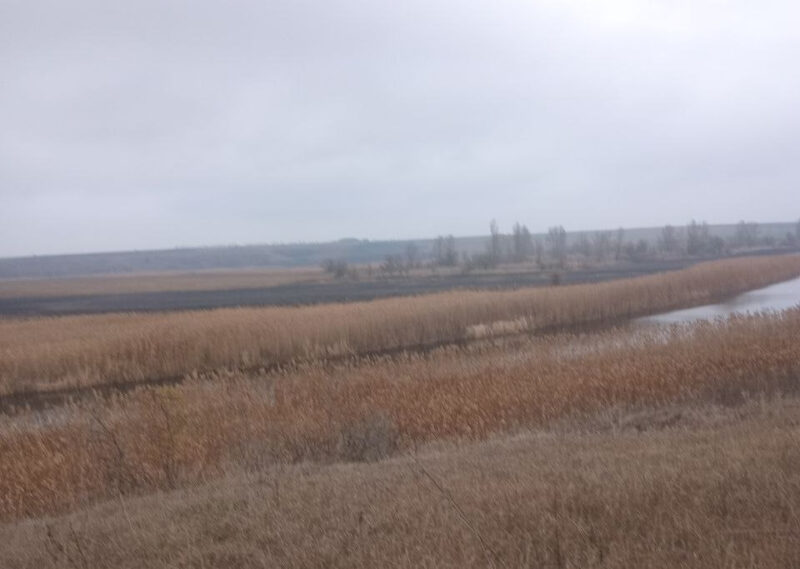 невідомі розорали прибережну захисну смугу у Новомиргородській громаді