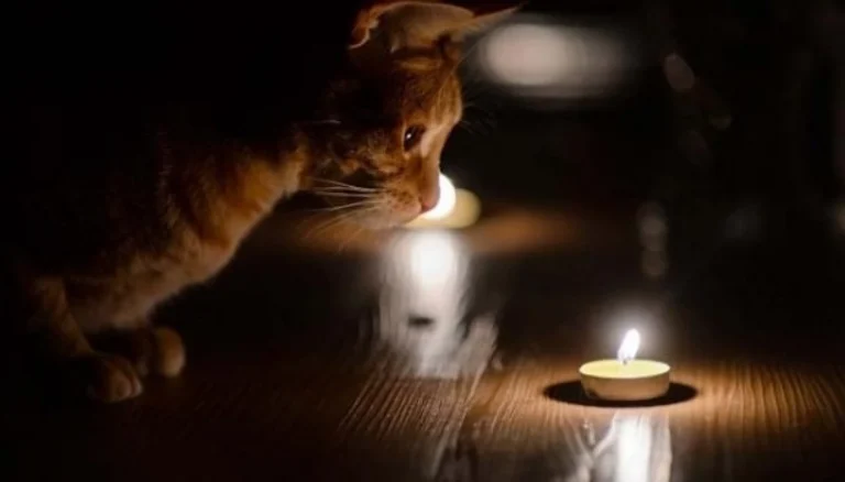 без світла 144 населених пунктів на кіровоградщині