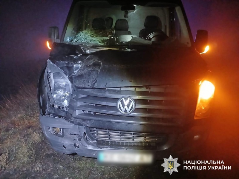 У Кропивницькому районі водій збив жінку