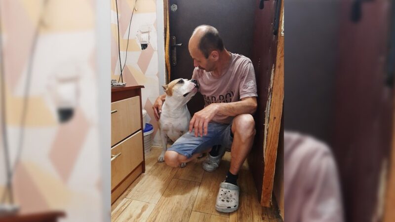 Помер мобілізований у Кропивницькому