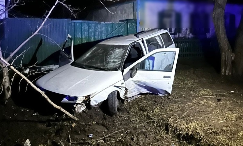 У Новомиргороді легковик в'їхав у дерево