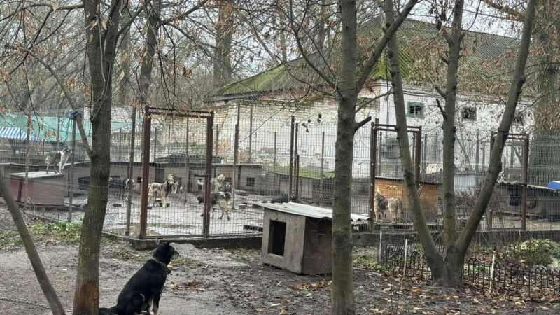 "БІМ" у Кропивницькому збережуть