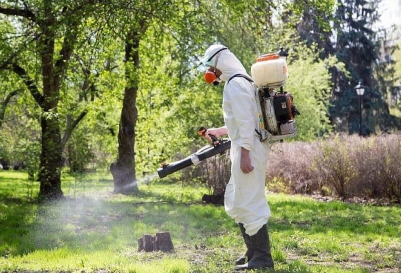 У селищі Новому "Благоустрій" проведе обробку від кліщів