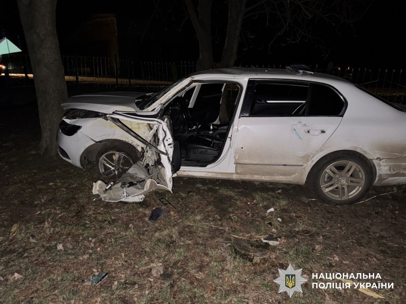 У Помічній керманич в'їхав у дерево та загинув на місці