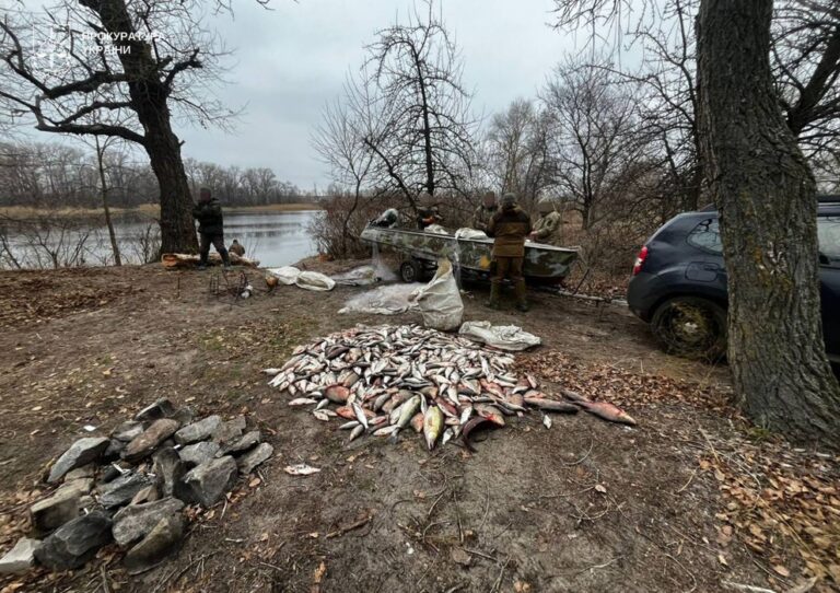 На понад 2 млн грн наловив риби браконьєр зі Світловодської громади