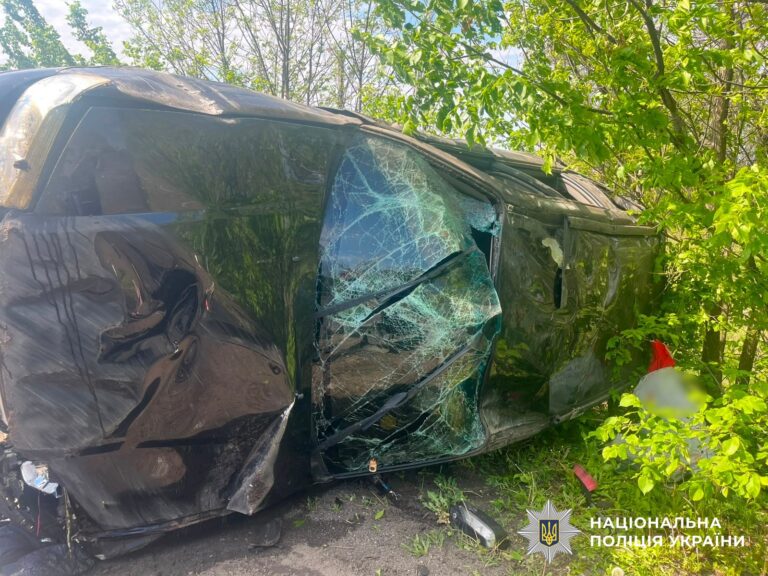 Біля Великої Северинки перекинулася автівка