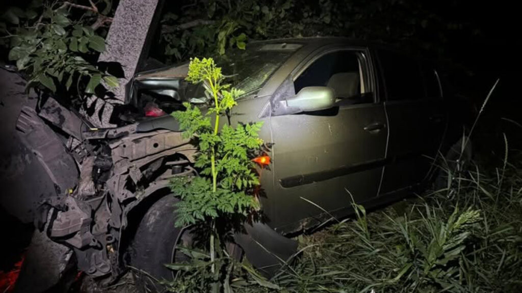 Вї'хав у стовп та травмувався водій Renault у Кропивницькому