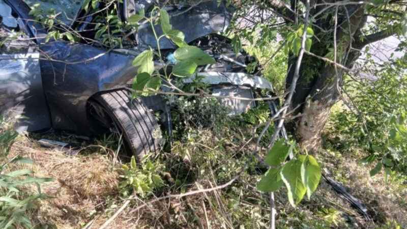 В Олександрії водій BMW в'їхав у дерево: п'ятеро людей травмувалися