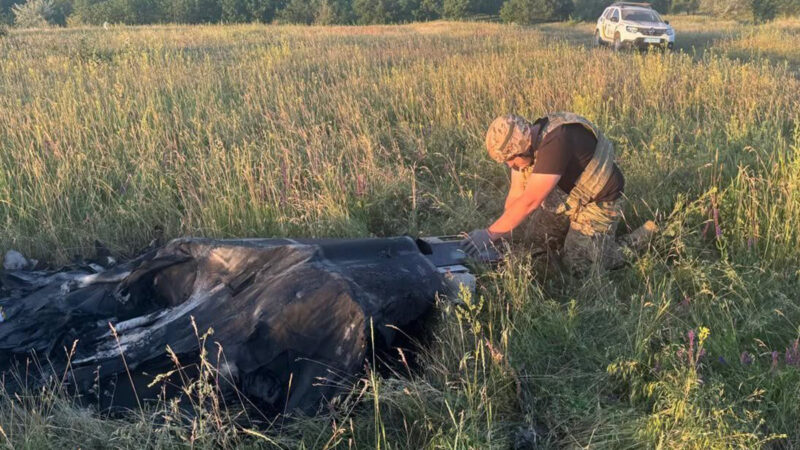 У полі на Кіровоградщині знайшли ворожий дрон який не вибухнув