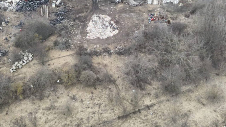Закопували туші свиней в землю: на Кіровоградщині працівнику агропідприємства отримав підозру